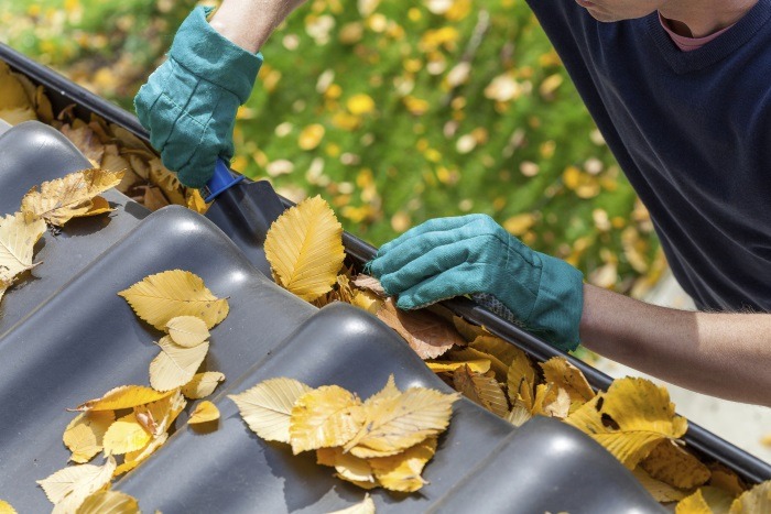 Professional Gutter Cleaner Gainesville GA Professional Gutter Cleaner Gainesville GA
