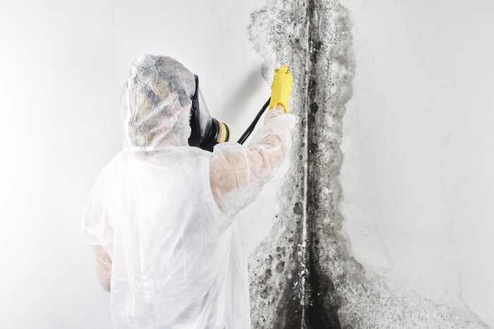 Mold removal service in Gainesville, GA.