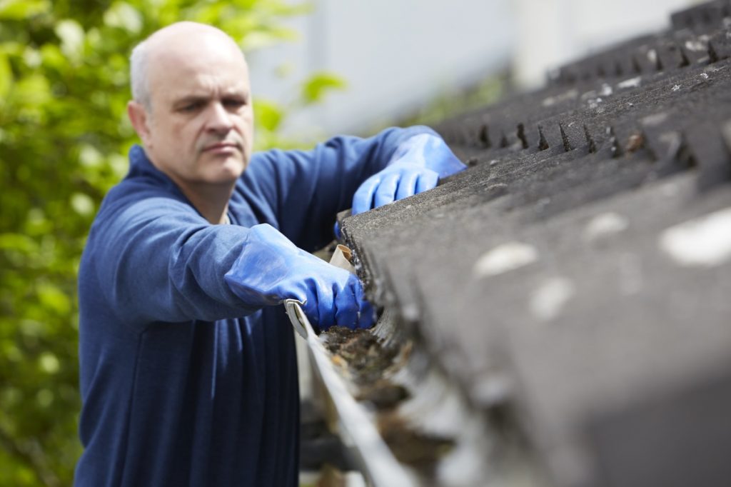 Gutter Cleaning Company in Gainesville, GA Gutter Cleaning Company in Gainesville, GA