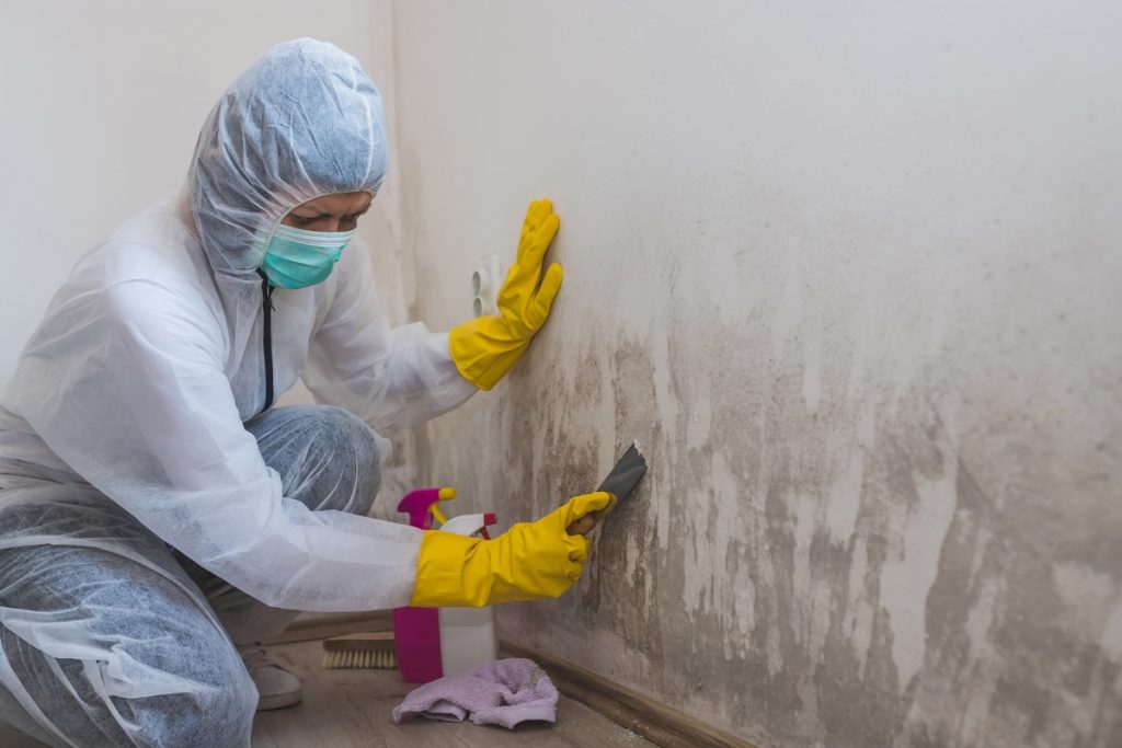 Mold Removal in Gainesville, GA
